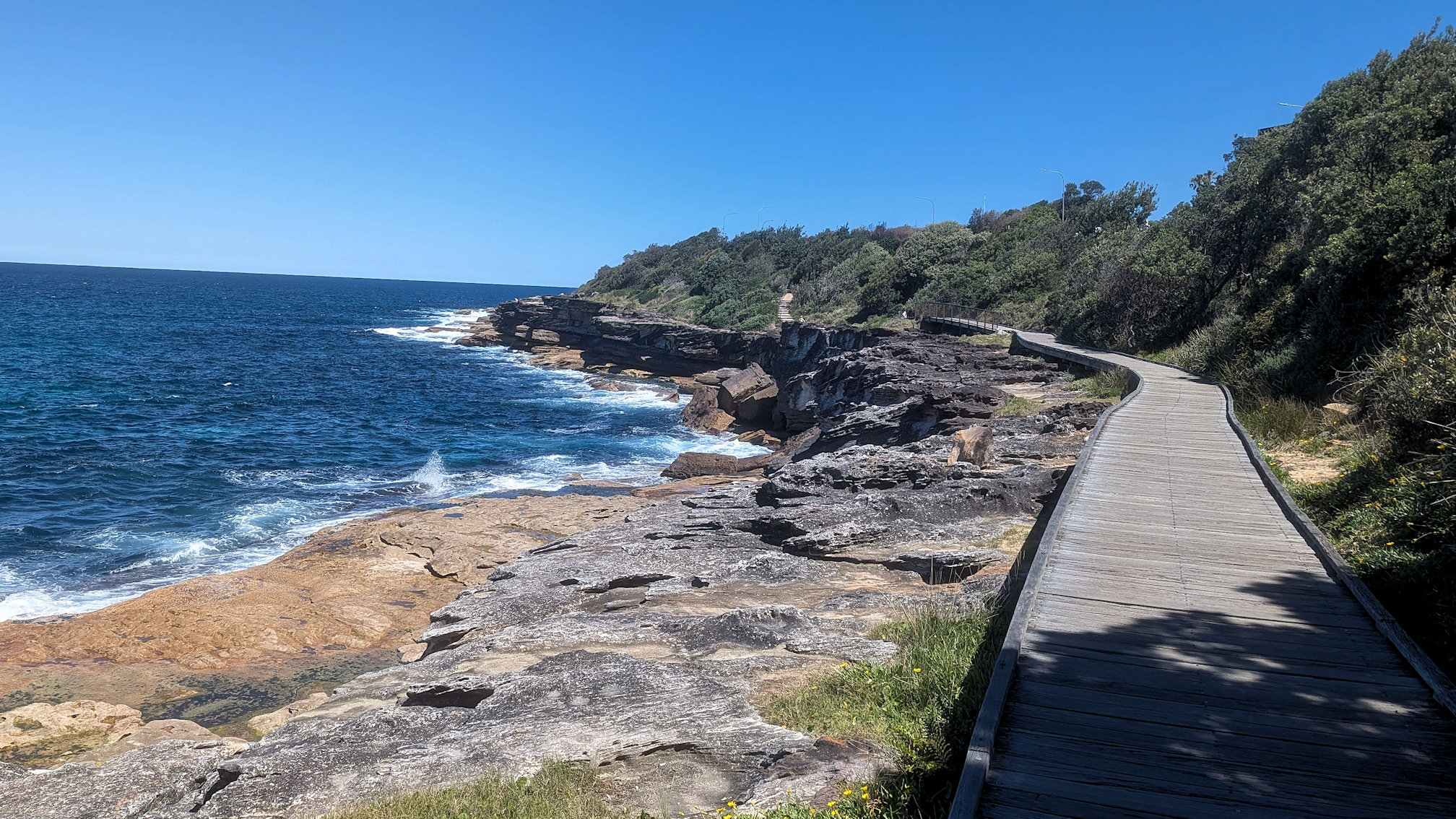 curlcurl_fresh track4